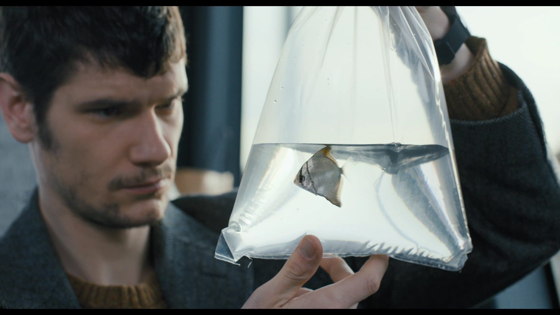 Le_Poisson_Image_3