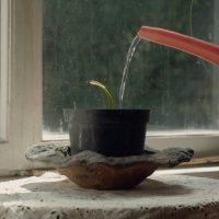 The_Silence_of_The_Banana_Trees_-_Still_8